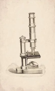 Pillar Support Horseshoe Base Compound Microscope Scientific Instrument Eng.. イラスト素材