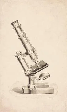 Pillar Support Horseshoe Base Compound Microscope Scientific Instrument Eng.. イラスト素材