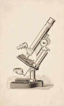 Pillar Support Horseshoe Base Compound Microscope Scientific Instrument Eng.. イラスト素材