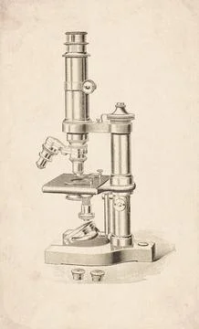 Pillar Support Horseshoe Base Compound Microscope Scientific Instrument Eng.. イラスト素材