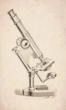 Pillar Support Horseshoe Base Compound Microscope Scientific Instrument Eng.. イラスト素材