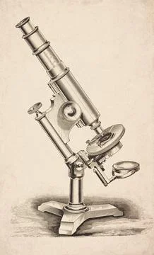 Pillar Support Three Footed Stand Circular Stage Compound Microscope Scient.. イラスト素材