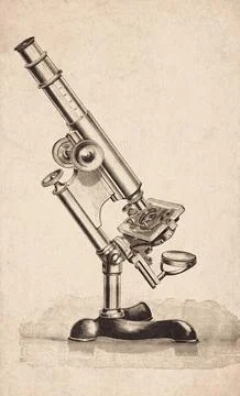 Pillar Support Three Footed Stand Compound Microscope Scientific Instrument.. Stock Illustration