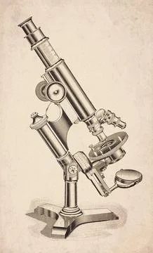 Pillar Support Three Footed Stand Circular Stage Compound Microscope Scient.. イラスト素材