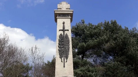 Pillar of war memorial with sword and leaves against trees and sky Stock Footage 85597099