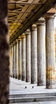Pillars and Pigeons Fotos Stock