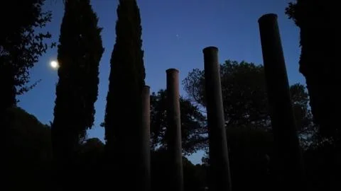 Pillars And Trees Under The Moonlight Stock Photos