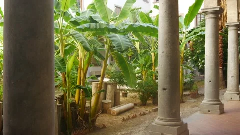 Pillars With Green Plants Next Stock Footage 130569828