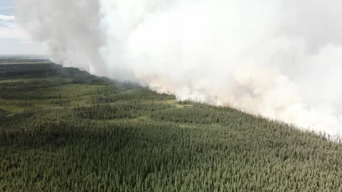 Pillars of smoke from Yukon wildfire Stock Footage 247482416