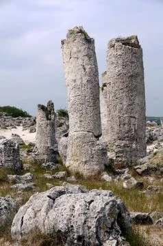 Pillars of Stone Forest Stock Photos