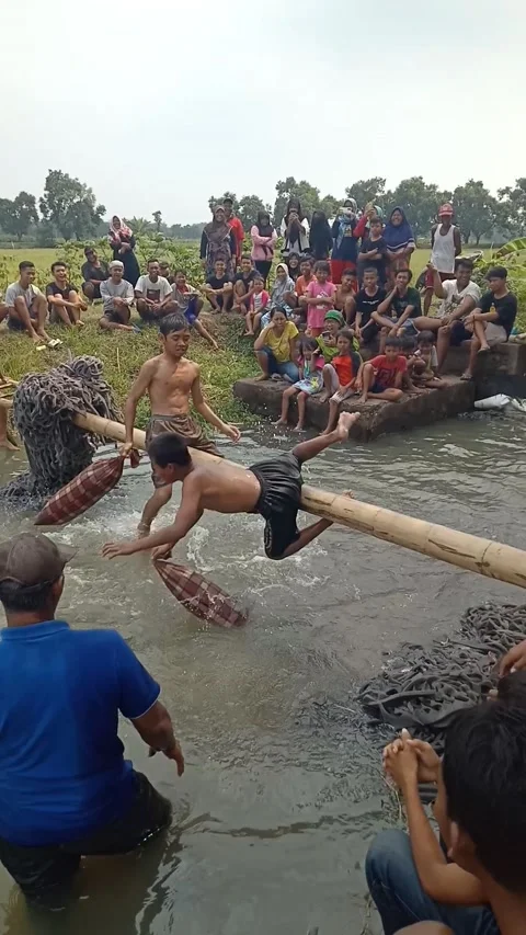 Pillow fight Stock Footage 205546532