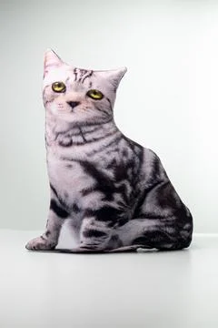 Pillow in the form of cat on white background Stock Photos