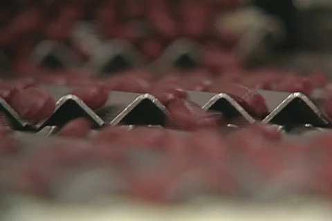 Pills 12 Stock Footage 340745