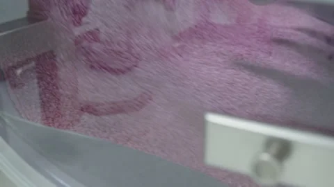 Pills are moving on automated pharma equipment. medical machinery is rotating Stock Footage 200856882