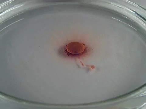 Pills dissolving timelapse 2 Video stock 68064974