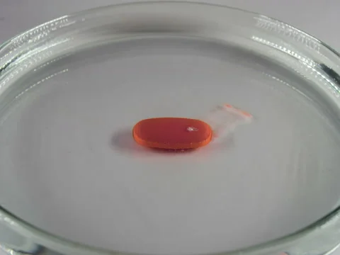 Pills dissolving timelapse 3 Stock Footage 68065378