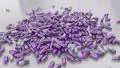 Pills drugs capsules falling on white table counter top slow motion closeup 4K 4k or 4k+ Resolution