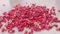 Pills drugs capsules falling on white table counter top slow motion closeup 4K 4k or 4k+ Resolution