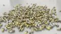 Pills drugs capsules falling on white table counter top slow motion closeup 4K 4k or 4k+ Resolution