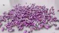 Pills drugs capsules falling on white table counter top slow motion closeup 4K 4k or 4k+ Resolution