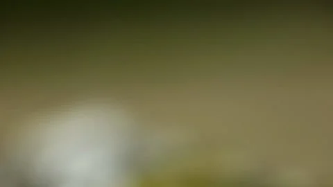 Pills Stock-Footage 131864557