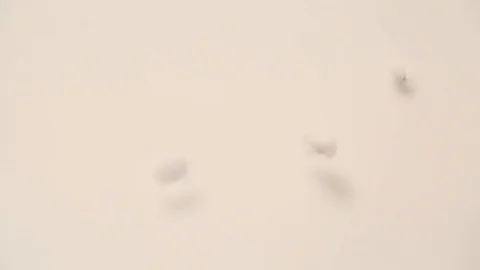 Pills spilled on white background Stock Footage 95967643