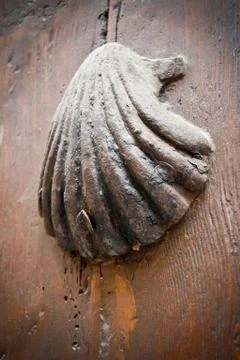 Pilmgrim shell Stock Photos