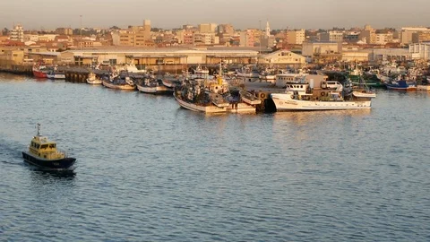 Pilot Boat escorting MS Amadea from Porto de Leixões Stock Footage 117298285