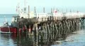 Pilot Boat HD Footage