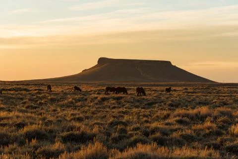 Pilot Butte, Wyoming Stock Photos
