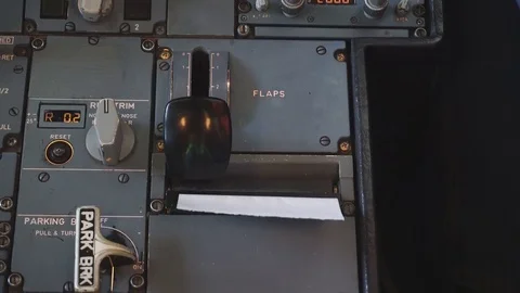 The pilot checks the aircraft for the flight 動画素材 84349516