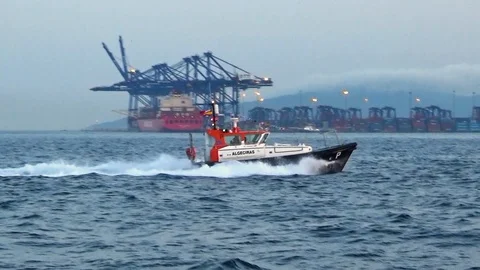Pilot cutter sailing Stock Footage 119450698