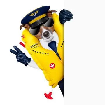 Pilot dog 스톡 사진