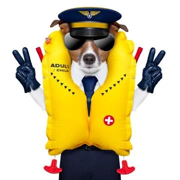 Pilot dog Stock Photos