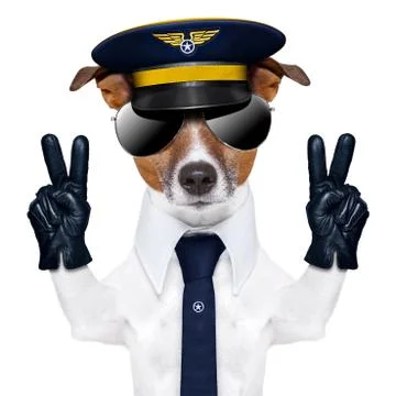 Pilot dog Stock-Fotos