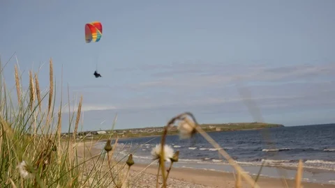 Pilot flies at the beach with grass in foreground Video stock 79628511