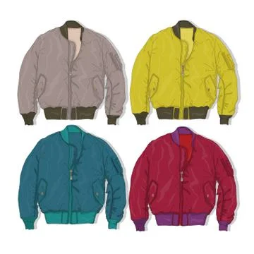 Pilot jacket. Bomber. Vector. Stock Illustration
