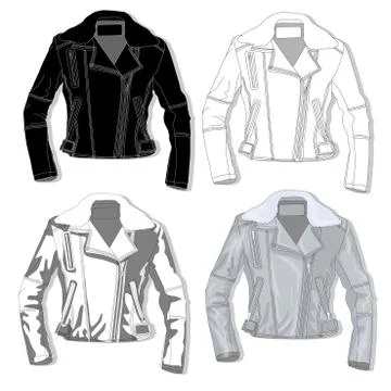 Pilot jacket. Bomber. Vector. Stock Illustration