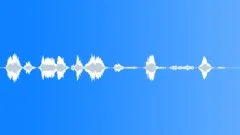 Pilot voice clip Sound Effect