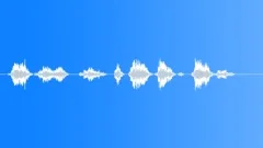 Pilot voice clip Sound Effect