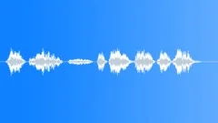 Pilot voice clip Sound Effect