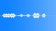 Pilot voice clip Sound Effect