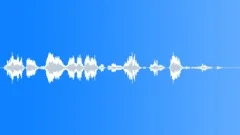 Pilot voice clip Sound Effect