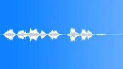 Pilot voice clip Sound Effect