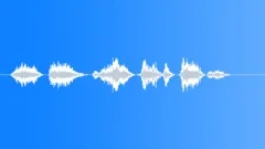 Pilot voice clip Sound Effect