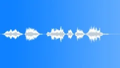 Pilot voice clip Sound Effect