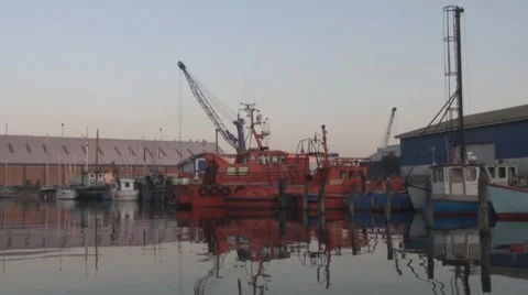 Pilots Boats Video stock 8765485