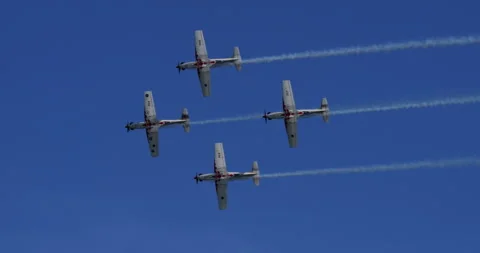 Pilots Skillfully Demonstrate Synergy with Machine in Flight Display Video stock 271224114