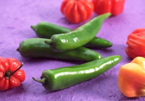 PIMENT VERT Stock Photos