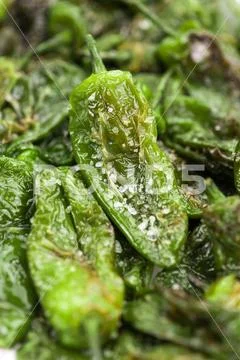 Pimientos de Padron close-up shot, selective focus Stock Photos